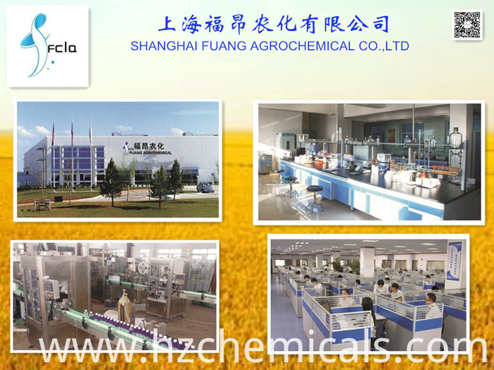 Agricultural Chemicals Herbicide Tc Technical 97% CAS: 137641-05-5 Picolinafen